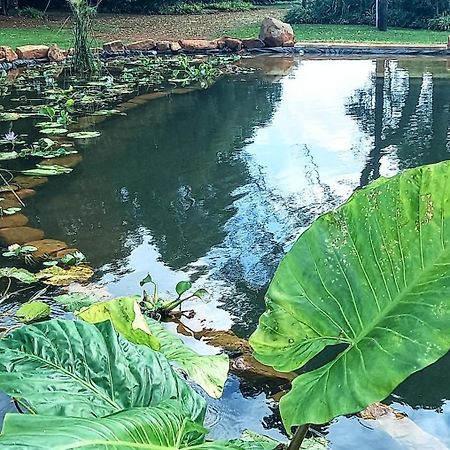 Deo Resta Guest Lodge 彼得勒蒂夫 外观 照片