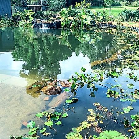 Deo Resta Guest Lodge 彼得勒蒂夫 外观 照片